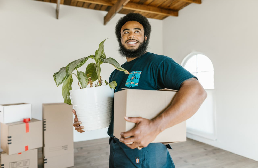 A man standing in a predominantly empty room except for a pile of moving boxes. He is holding a pot plant and moving box.