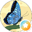 Rosemarie Besselaar Avatar