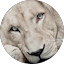 Carla Swart Avatar